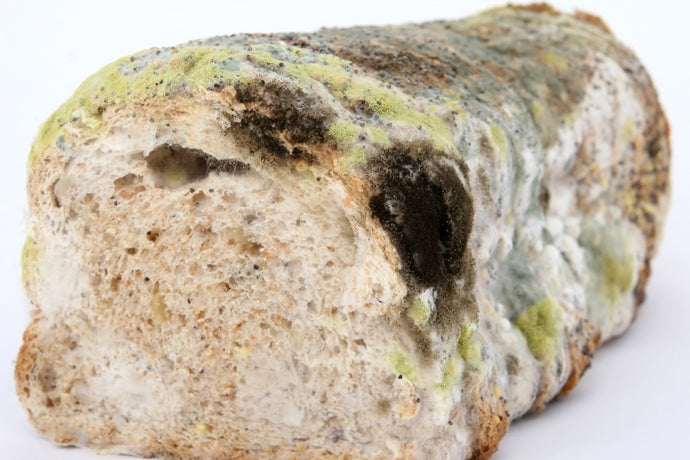 養生小知識胃怕七个字之霉！