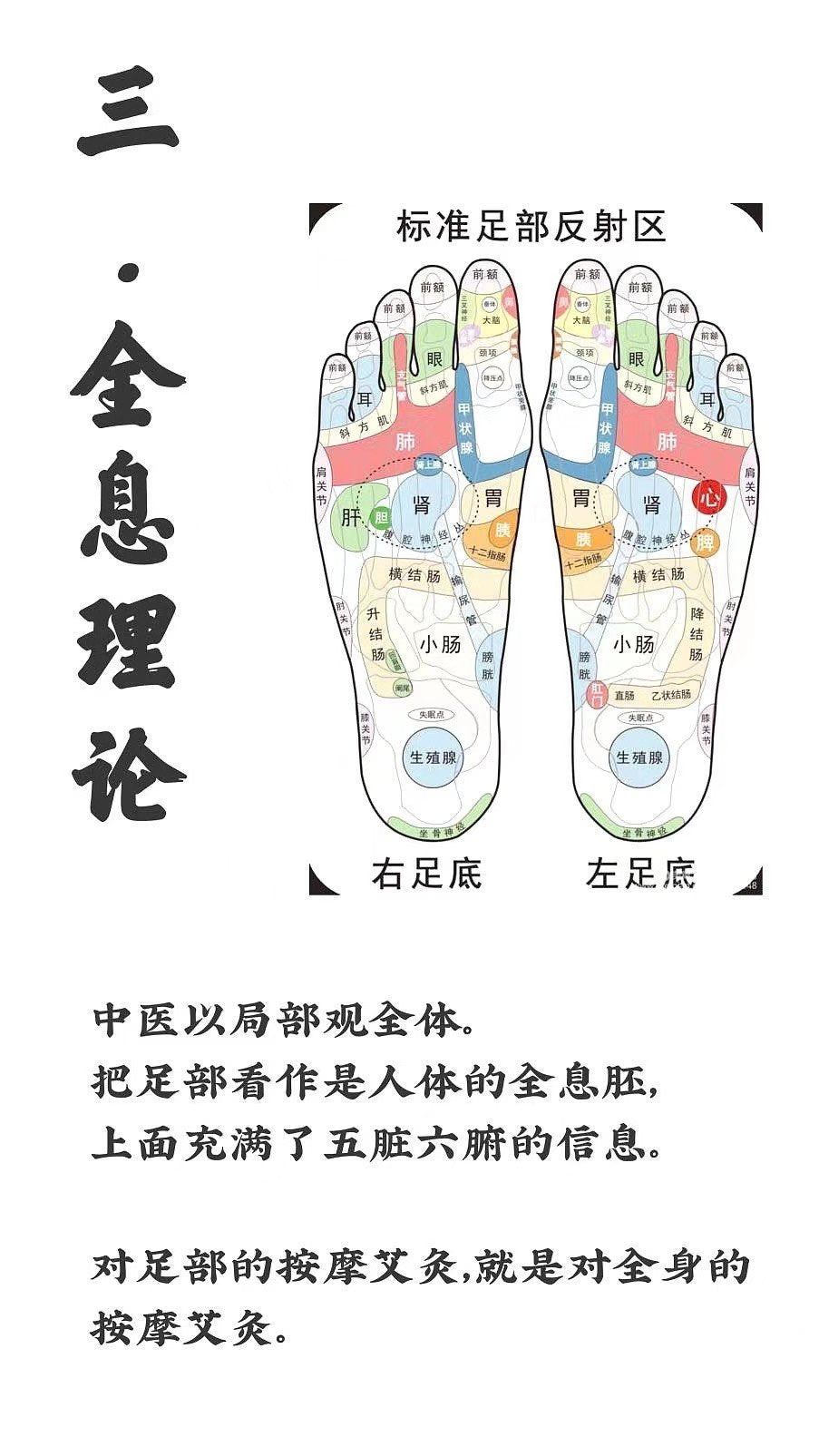 艾 腳灸 底, 松輕 養護氣 內血 臟。 ͏。  讓我們從以 四下 方面來看艾灸腳的 要重 性! 一、血 循液 環理論。 二、反 原射 理。 三、全息理論。 四、經絡理論。 通過艾灸 部腳 ,可以疏通 絡經 ,調節和恢 人復 體臟腑功 ,能 使失調、病變 臟的 腑功能得 重以 新修 和復 調整!